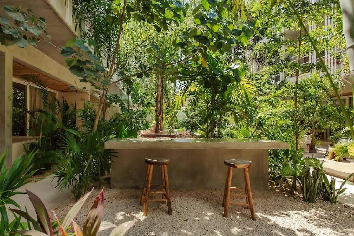 Design Loft Apartment In La Veleta Tulum
