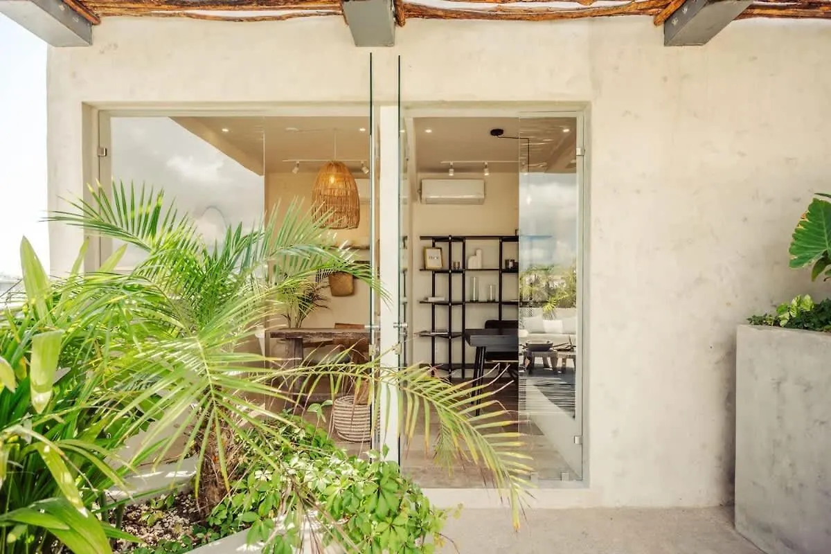 Design Loft Apartment In La Veleta Tulum